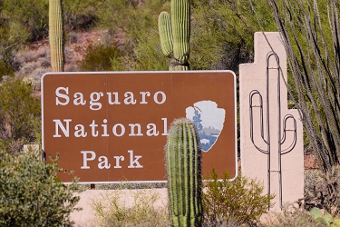 November 6, 2016<br>Saguaro National Park west