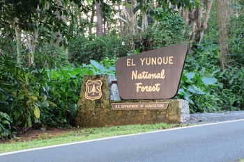 El Yunque National Forest - the only rain forest in the United States<br>December 7, 2015