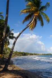 Rainbow, Palmas Del Mar, Puerto Rico<br>December 8, 2015