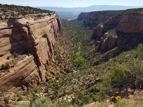 Colorado National Monument (cell phone shot).<br>June 5, 2016