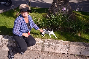October 22, 2013<br>Friendly cat in Cavtat, Croatia.