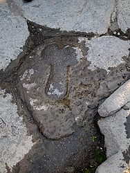 October 28, 2013<br>Penis on the sidewalk points the way to the brothel in Pompeii.