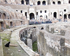 October 29, 2013<br>Roman cat in the Coliseum.