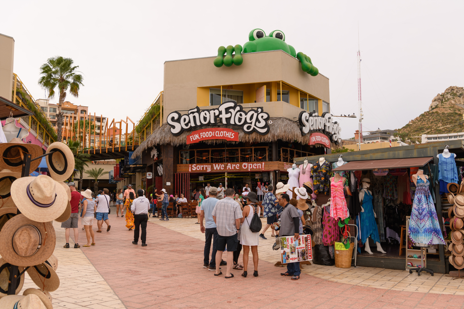 March 10, 2020Of course there is a Senor Frog's right next to the cruise ship pier.
