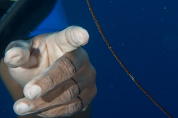 March 20, 2019<br>David points to a pair of wire shrimp.
