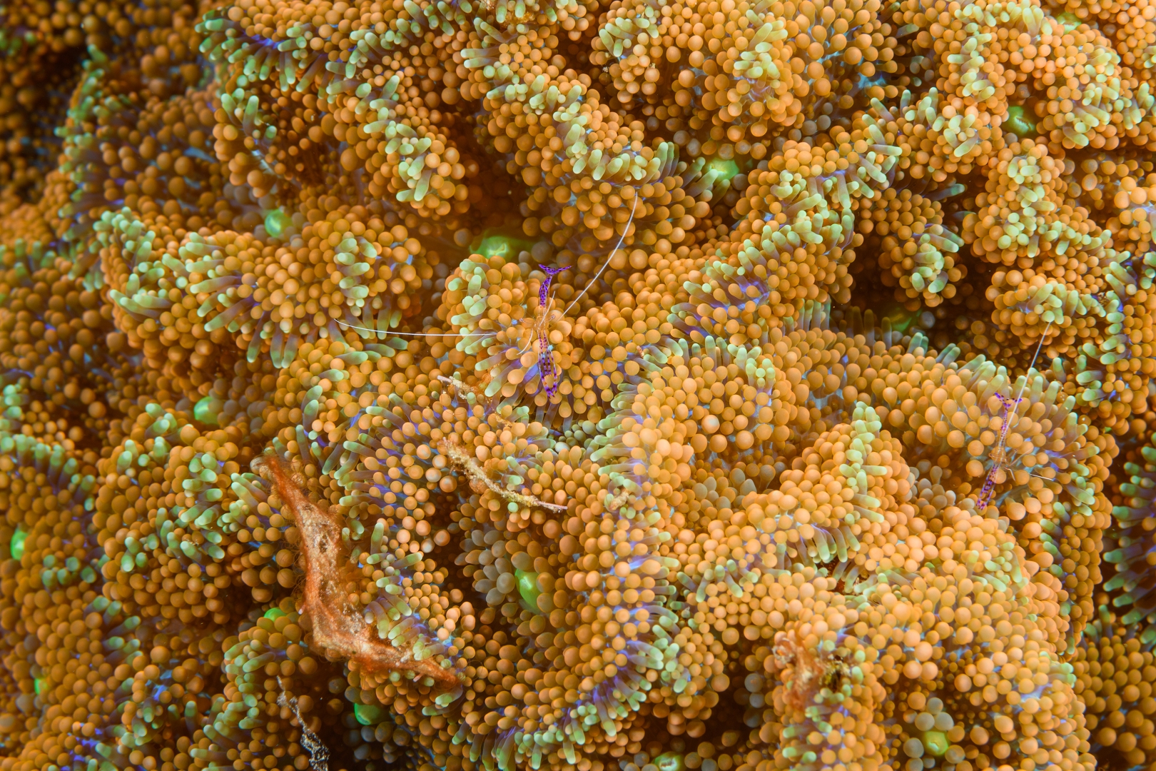 190926-135943-9-D850.jpg