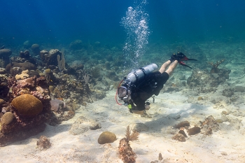 September 24, 2019<br>Dive instructor Robert examining the bottom