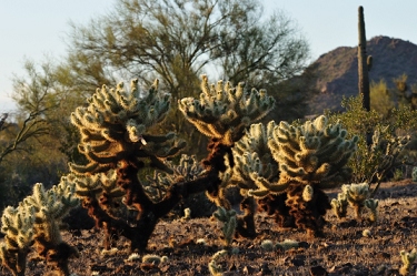 April 16, 2009<br>North Phoenix, AZ