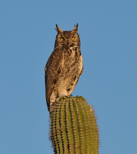 April 19, 2009<br>North Phoenix, AZ