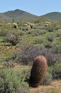 February 16, 2010<br>North Phoenix, AZ