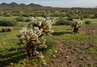 March 5, 2010<br>North Phoenix, AZ