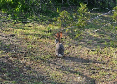 March 18, 2010<br>North Phoenix, AZ