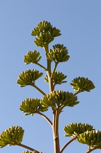 April 1, 2010<br>North Phoenix, AZ