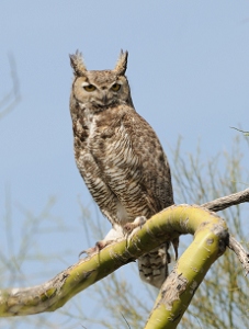 April 18, 2010<br>North Phoenix, AZ