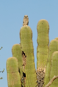 April 19, 2010<br>North Phoenix, AZ