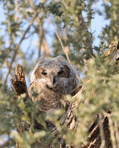 April 19, 2010<br>North Phoenix, AZ