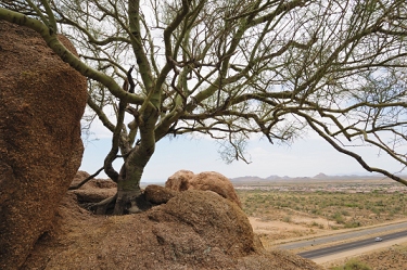 June 12, 2010<br>North Phoenix, AZ<br>Carefree Highway