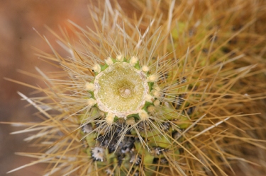 June 12, 2010<br>North Phoenix, AZ