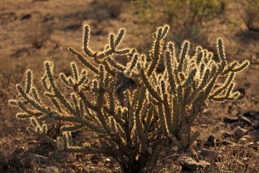 October 27, 2010<br>North Phoenix, AZ