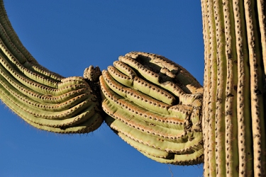 October 27, 2010<br>North Phoenix, AZ