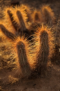 October 27, 2010<br>North Phoenix, AZ