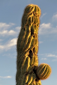 October 27, 2010<br>North Phoenix, AZ