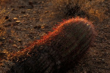 October 27, 2010<br>North Phoenix, AZ