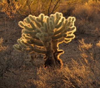 October 27, 2010<br>North Phoenix, AZ