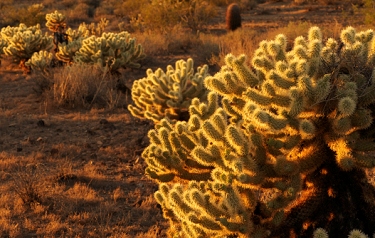 October 27, 2010<br>North Phoenix, AZ