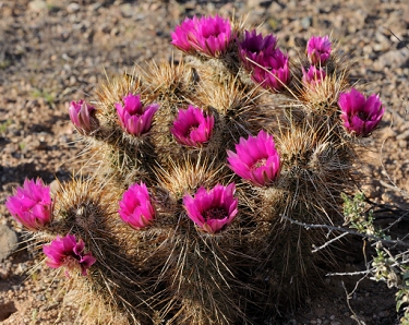 April 11, 2011<br>North Phoenix, AZ