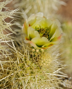 April 21, 2011<br>North Phoenix, AZ