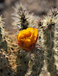 April 21, 2011<br>North Phoenix, AZ