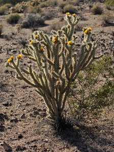 April 21, 2011<br>North Phoenix, AZ