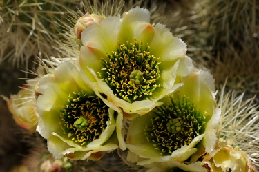 May 1, 2011<br>North Phoenix, AZ