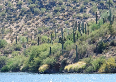 October 27, 2011<br>Saguaro Lake, AZ