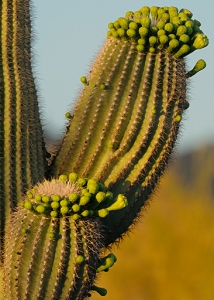 April 20, 2012<br>North Phoenix, AZ