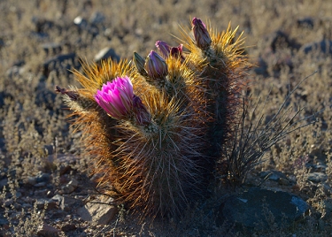 April 10, 2013<br>North Phoenix, AZ