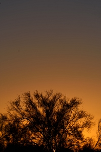 Sunset on a cloudless day in Arizona.<br>May 22, 2016