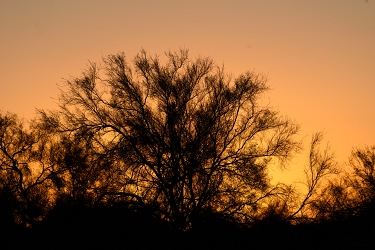 Sunset on a cloudless day in Arizona.<br>May 22, 2016