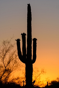 Sunset on a cloudless day in Arizona.<br>May 22, 2016