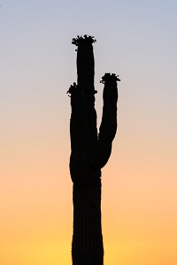 Sunset on a cloudless day in Arizona.<br>May 22, 2016