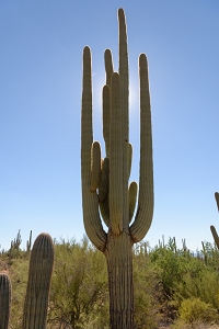 November 6, 2016<br>Tucson area