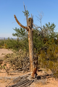 November 6, 2016<br>Tucson area