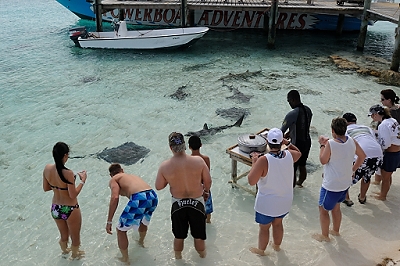 February 2, 2012<br>A visit to a private cay where we (first) fed mantas and sharks, and (second) snorkeled with them.