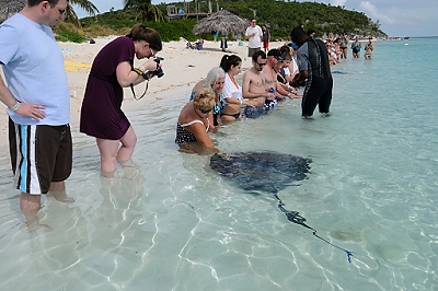 February 2, 2012<br>Connie feeds a manta