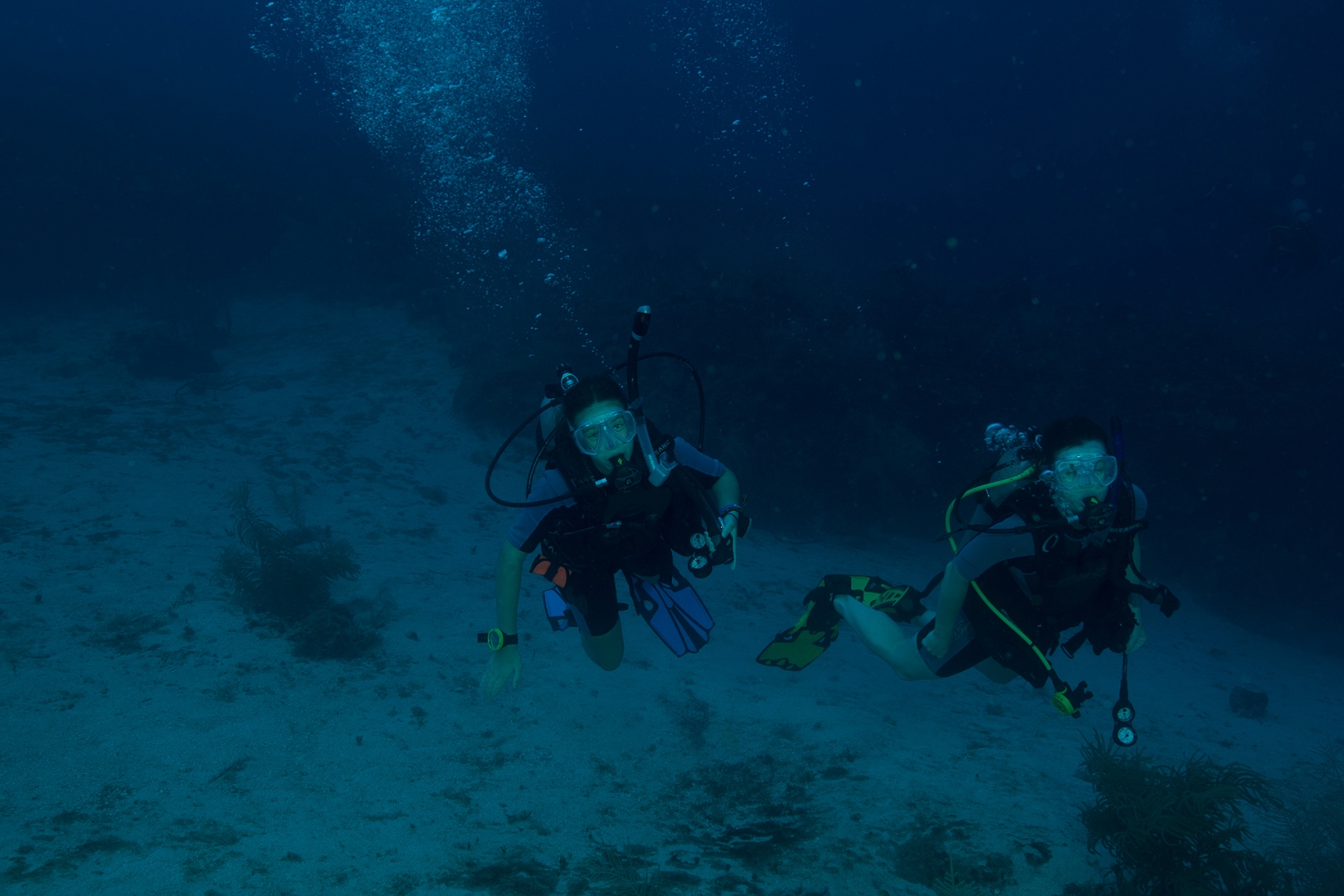 190319-104620-4-D850-2-1.jpg