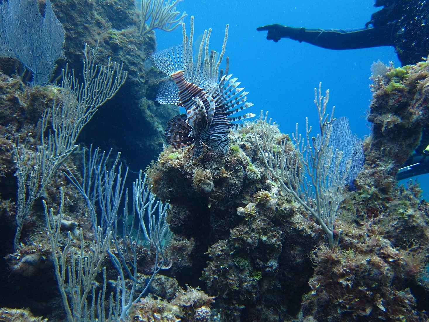 120208-165903-00-s95.jpg