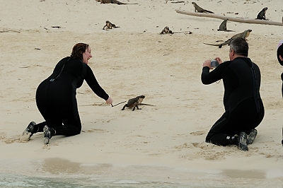 February 5, 2012<br>Joni feeds iguana.