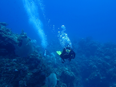 February 6, 2012<br>You see those yellow fins, and you know it's Connie.