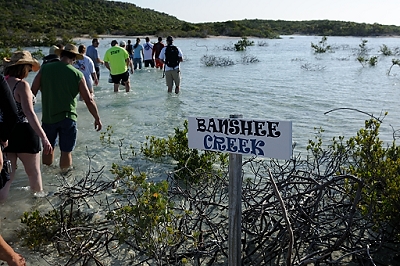 February 7, 2012<br>Banshee Creek, named for the screaming of pirates shackled there while the tide came in over them.